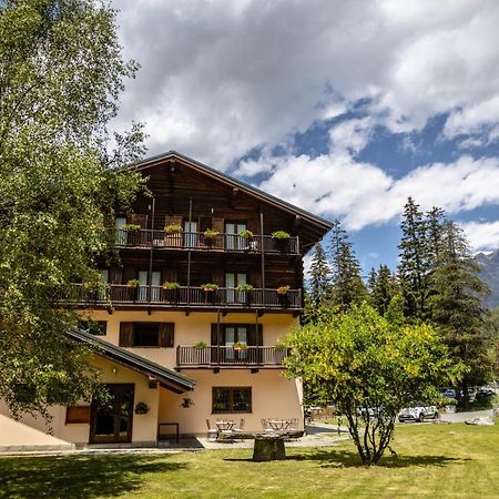שמפולוק Alpine Forest Hotel מראה חיצוני תמונה