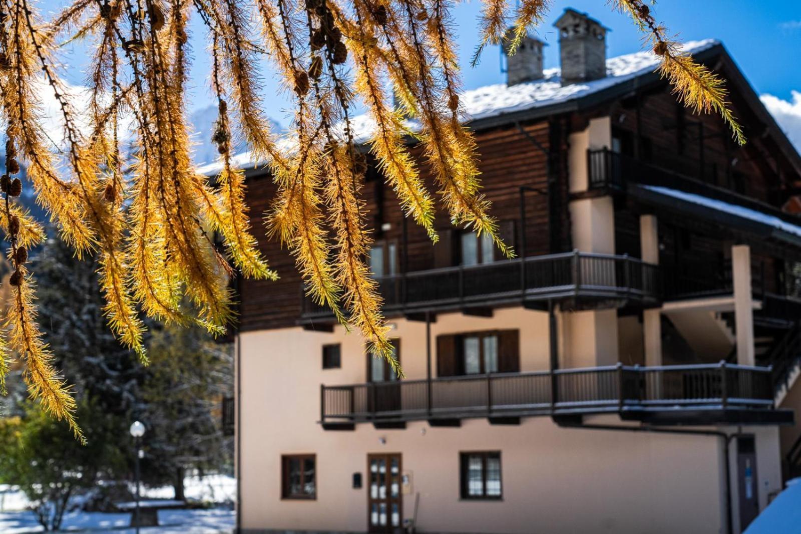 שמפולוק Alpine Forest Hotel מראה חיצוני תמונה