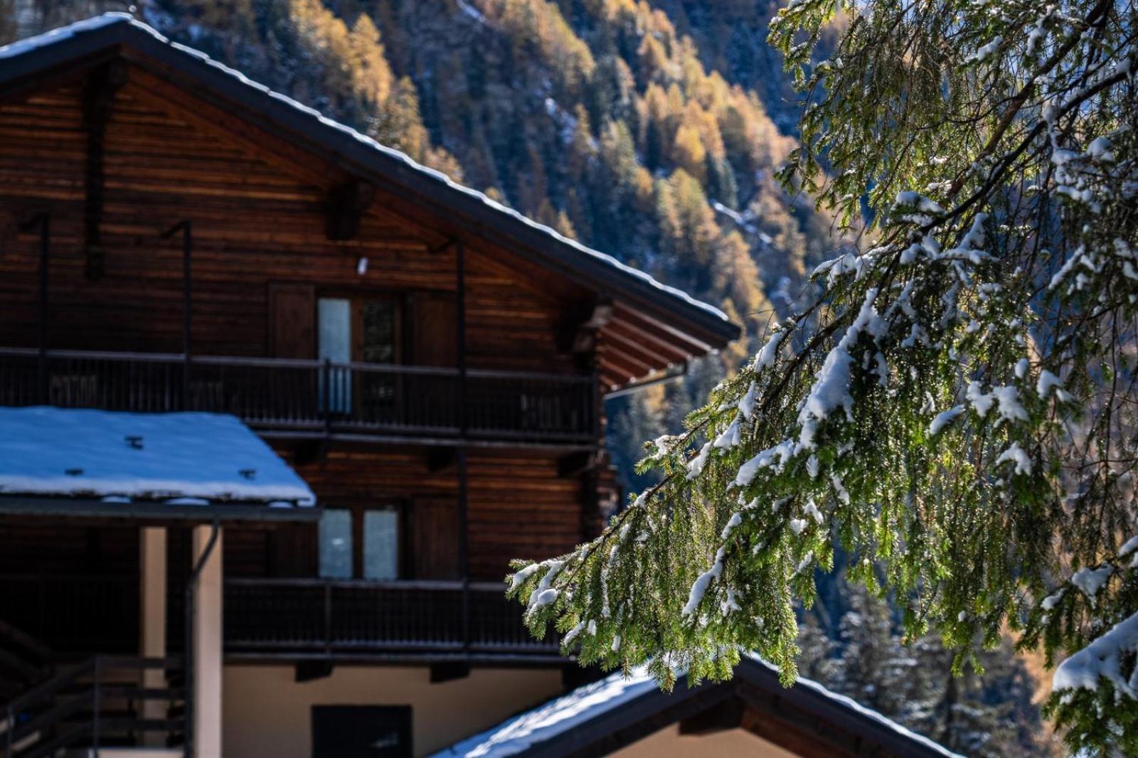 שמפולוק Alpine Forest Hotel מראה חיצוני תמונה
